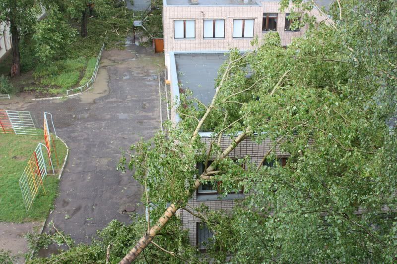 Ураган в Вологде 