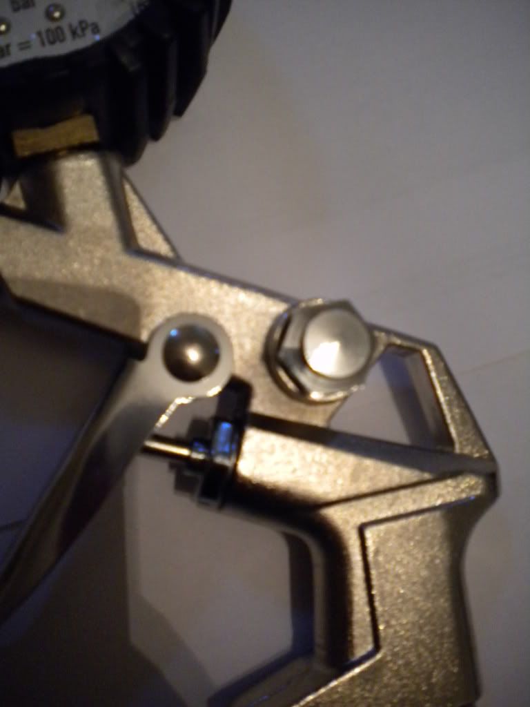 Immagine inserita