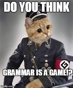  photo grammar nazi cat_zps5vnakj6j.jpg