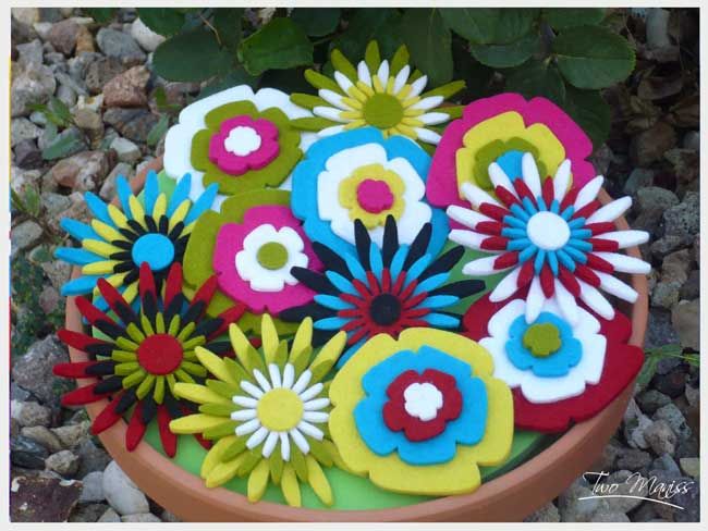 fLORES Pictures, Images and Photos