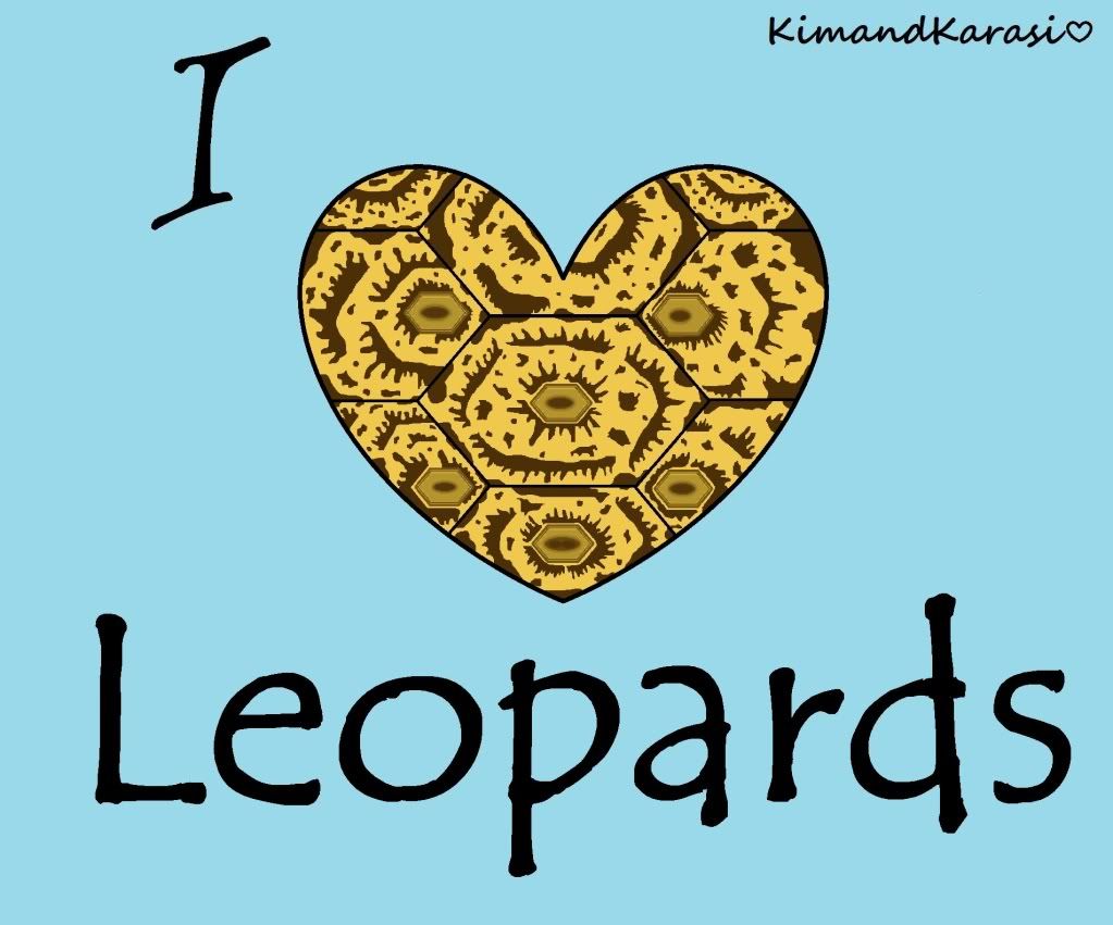 IloveLeopards.jpg