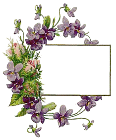 syx9ca8o.gif image by RosaLady