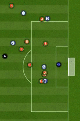 MedinaBanfield.gif