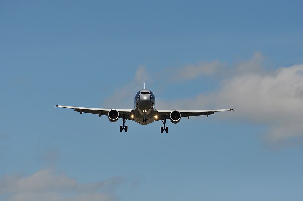 IMAGE: http://i867.photobucket.com/albums/ab240/DanielSFoto/1024/DSC_0231.jpg