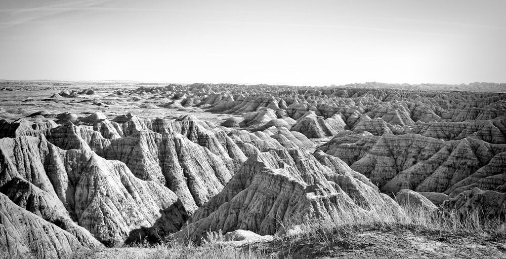 IMAGE: http://i867.photobucket.com/albums/ab240/alphasti/DSC01637_zpsss3udapz.jpg