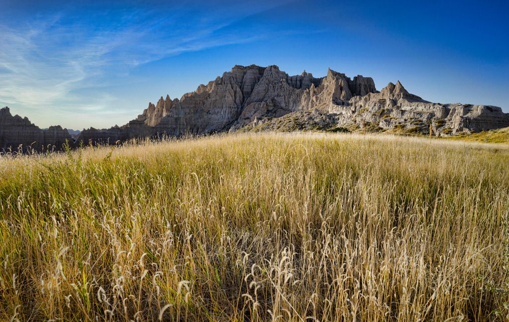 IMAGE: http://i867.photobucket.com/albums/ab240/alphasti/DSC01701copy_zpstybyau2a.jpg