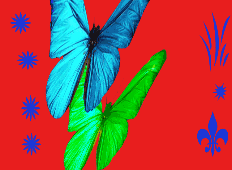 Https Encrypted Tbn0 Gstatic Com Images Q Tbn 3aand9gctmzy Chvypwvpupwnpu 4fk Gvmaukk0ljkoisbkai40xidf5z