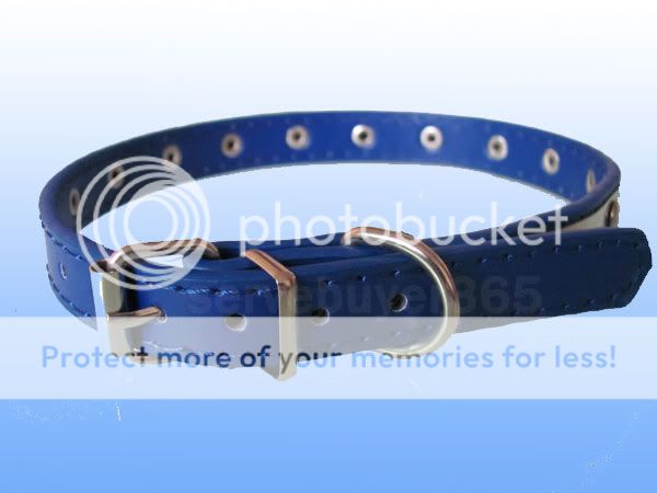 Leather Studded Puppy Cat Pet Dog Collar Small S Blue  