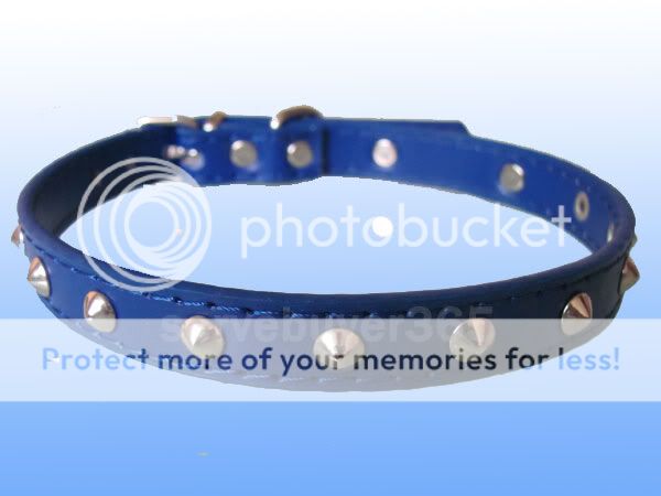 Leather Studded Puppy Cat Pet Dog Collar Small S Blue  