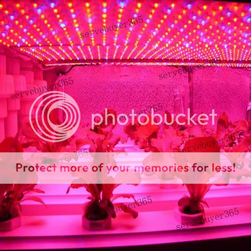   Red Mixed 225 LED Hydroponic Grow Light Panel Indoor Garden Plant Lamp